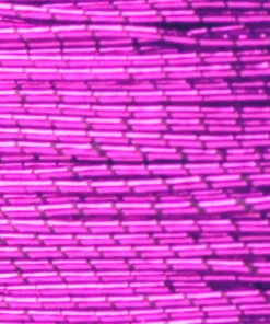 Supplies ProWrap Metallic Rod Winding Thread - Size D (100 Yds)