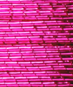 Supplies ProWrap Metallic Rod Winding Thread - Size D (100 Yds)