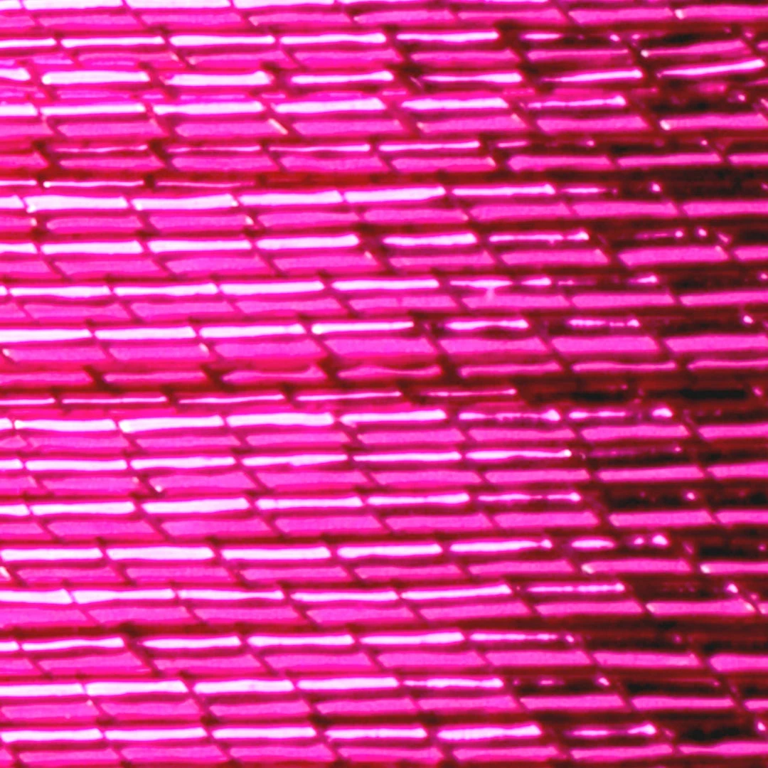 ProWrap Metallic Rod Winding Thread - Size D (1 Oz) Supplies 24 ProWrap Metallic Rod Winding Thread - Size D (1 Oz) Supplies