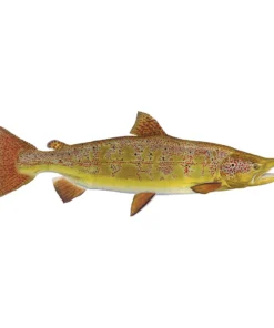 Mud Hole Truck Decals & Stickers 12" Gamefish Boat & Truck Window Stickers 67 Mud Hole Truck Decals & Stickers 12