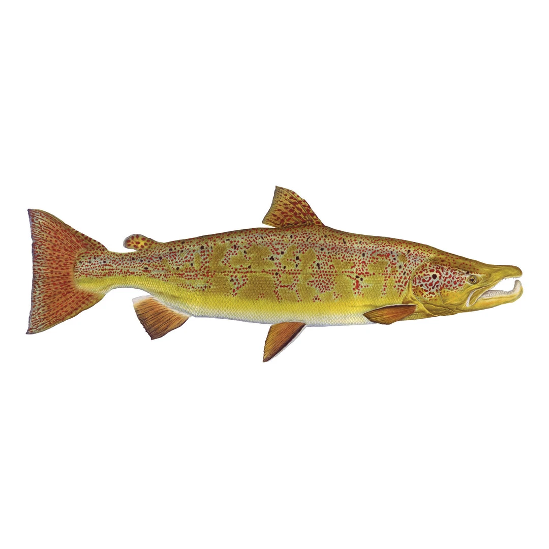 Mud Hole Truck Decals & Stickers 12" Gamefish Boat & Truck Window Stickers 8 Mud Hole Truck Decals & Stickers 12" Gamefish Boat & Truck Window Stickers