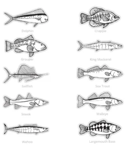 Mud Hole Supplies Black & White Gamefish Bumper Stickers