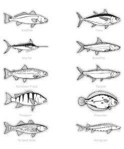 Mud Hole Supplies Black & White Gamefish Bumper Stickers