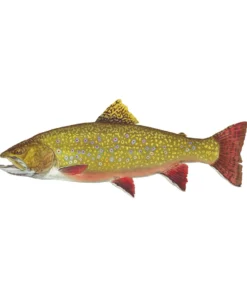 Mud Hole Truck Decals & Stickers 12" Gamefish Boat & Truck Window Stickers 76 Mud Hole Truck Decals & Stickers 12