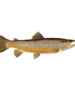 Mud Hole Truck Decals & Stickers 12" Gamefish Boat & Truck Window Stickers 77 Mud Hole Truck Decals & Stickers 12