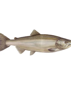 Mud Hole Truck Decals & Stickers 12" Gamefish Boat & Truck Window Stickers 83 Mud Hole Truck Decals & Stickers 12