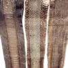 Mud Hole Supplies Cobra Snake Skins