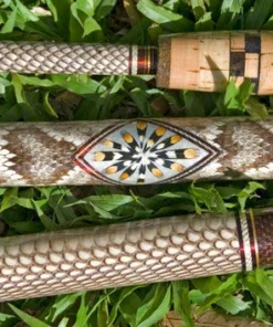 Mud Hole Sea Snake Skins 10 Mud Hole Sea Snake Skins