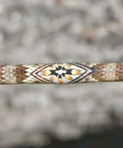 Mud Hole Sea Snake Skins 11 Mud Hole Sea Snake Skins