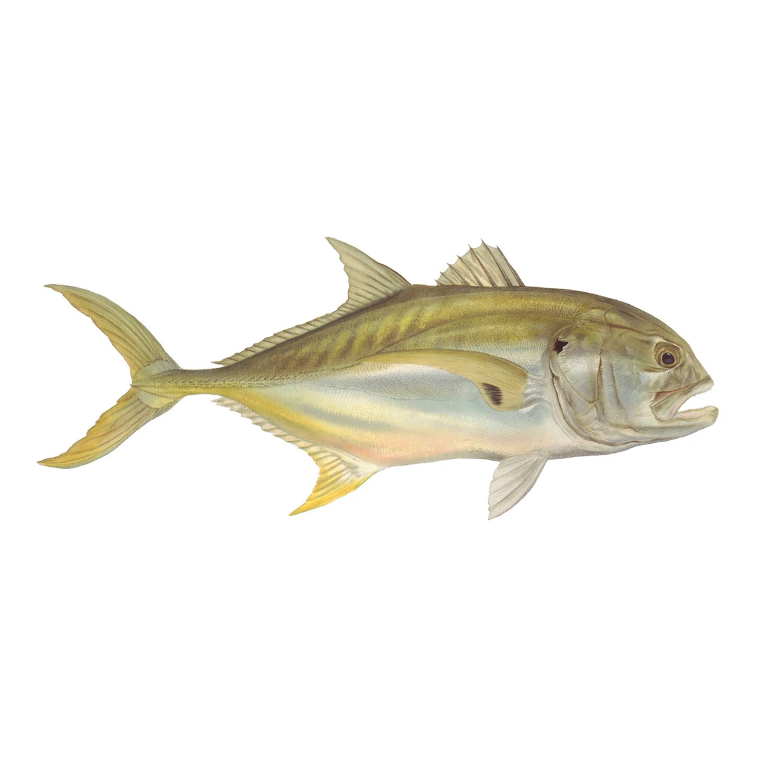 Mud Hole Truck Decals & Stickers 12" Gamefish Boat & Truck Window Stickers 28 Mud Hole Truck Decals & Stickers 12" Gamefish Boat & Truck Window Stickers