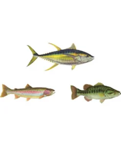 CRB Gamefish Rod Decals