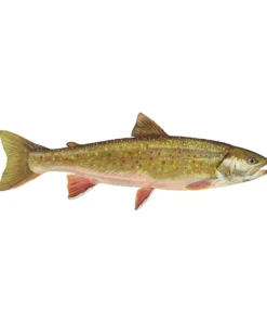 Mud Hole Truck Decals & Stickers 12" Gamefish Boat & Truck Window Stickers 88 Mud Hole Truck Decals & Stickers 12