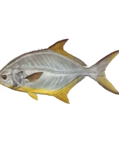 Mud Hole Truck Decals & Stickers 12" Gamefish Boat & Truck Window Stickers 89 Mud Hole Truck Decals & Stickers 12