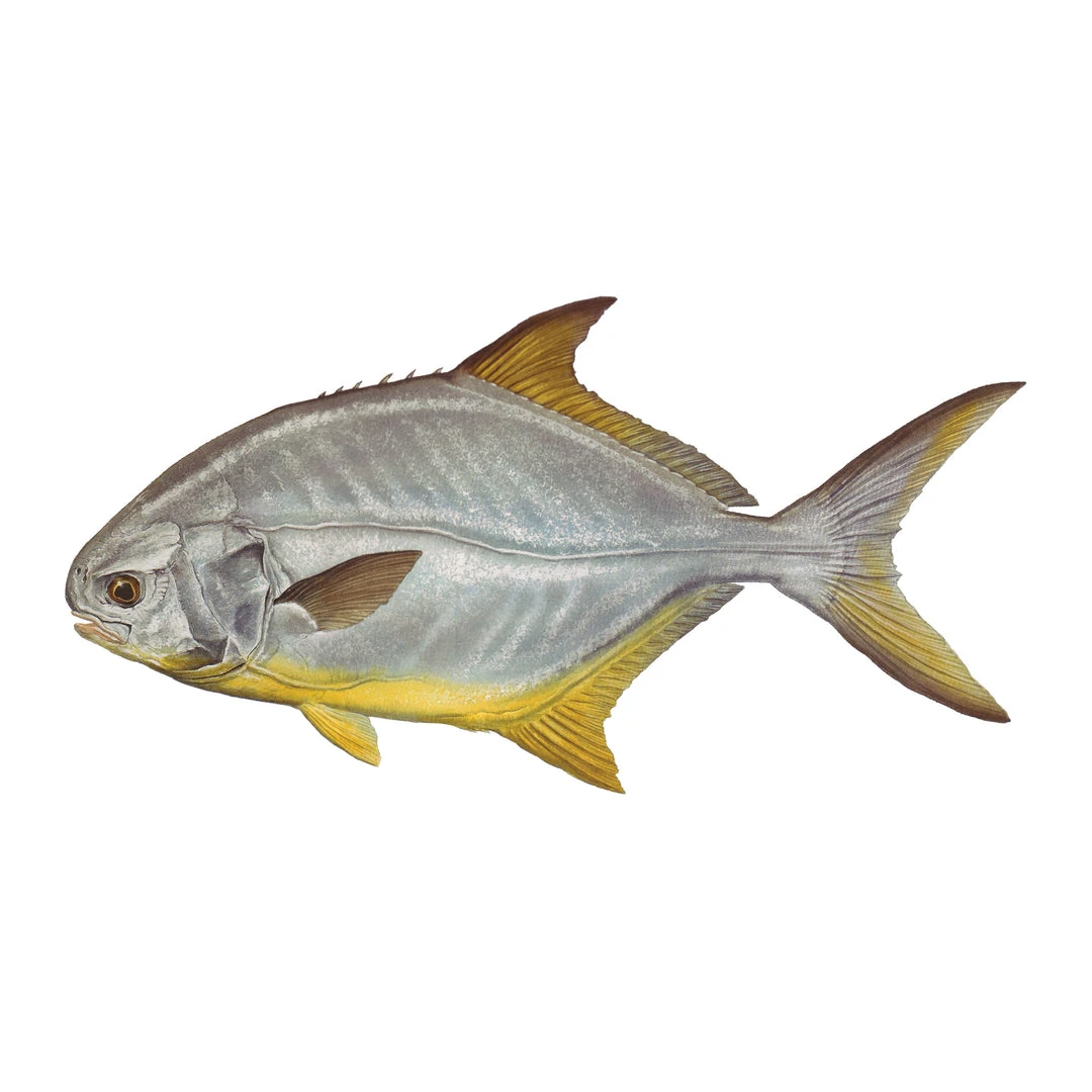 Mud Hole Truck Decals & Stickers 12" Gamefish Boat & Truck Window Stickers 30 Mud Hole Truck Decals & Stickers 12" Gamefish Boat & Truck Window Stickers