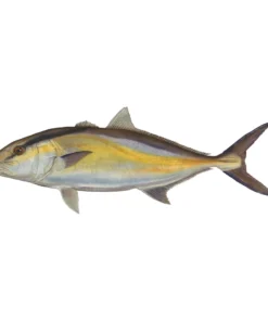 Mud Hole Truck Decals & Stickers 12" Gamefish Boat & Truck Window Stickers 95 Mud Hole Truck Decals & Stickers 12