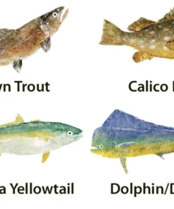 CRB Japanese Gyotaku Fish Art Decals By Marshall Madruga