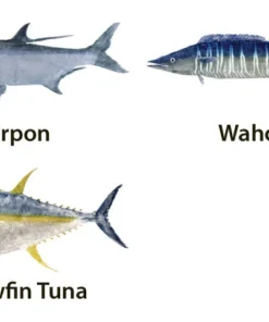 CRB Japanese Gyotaku Fish Art Decals By Marshall Madruga