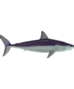 Mud Hole Truck Decals & Stickers 12" Gamefish Boat & Truck Window Stickers 99 Mud Hole Truck Decals & Stickers 12