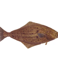 Mud Hole Truck Decals & Stickers 12" Gamefish Boat & Truck Window Stickers 101 Mud Hole Truck Decals & Stickers 12