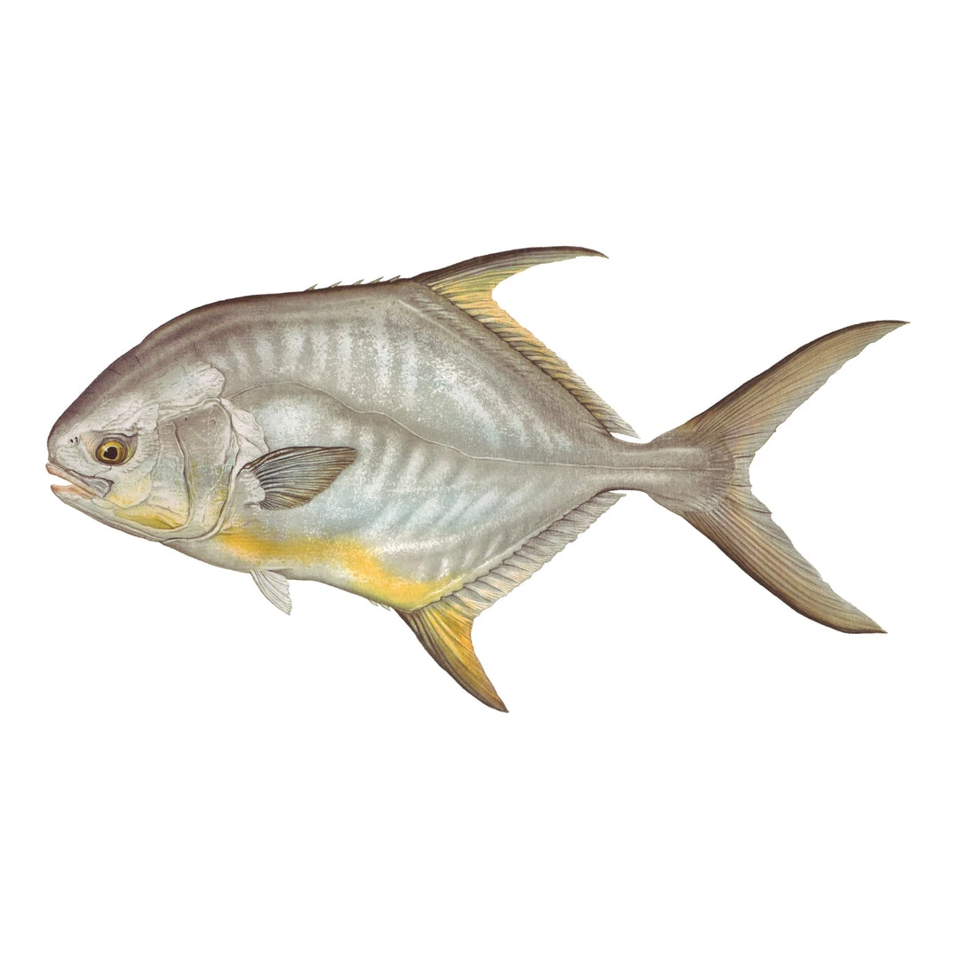 Mud Hole Truck Decals & Stickers 12" Gamefish Boat & Truck Window Stickers 43 Mud Hole Truck Decals & Stickers 12" Gamefish Boat & Truck Window Stickers