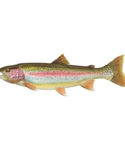 Mud Hole Truck Decals & Stickers 12" Gamefish Boat & Truck Window Stickers 103 Mud Hole Truck Decals & Stickers 12