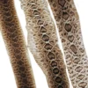 Mud Hole Rattlesnake Skins