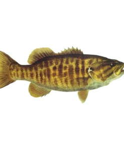 Mud Hole Truck Decals & Stickers 12" Gamefish Boat & Truck Window Stickers 109 Mud Hole Truck Decals & Stickers 12