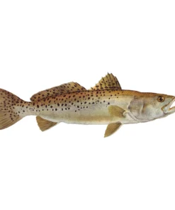 Mud Hole Truck Decals & Stickers 12" Gamefish Boat & Truck Window Stickers 112 Mud Hole Truck Decals & Stickers 12