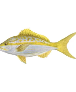 Mud Hole Truck Decals & Stickers 12" Gamefish Boat & Truck Window Stickers 119 Mud Hole Truck Decals & Stickers 12