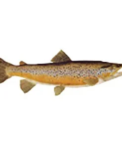 CRB Gamefish Rod Decals