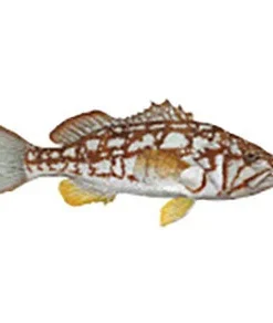 CRB Gamefish Rod Decals