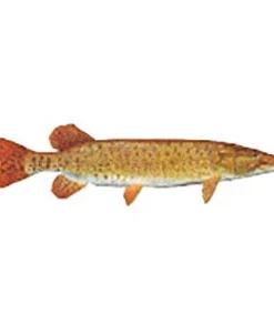 CRB Gamefish Rod Decals