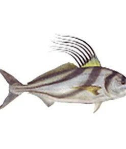 CRB Gamefish Rod Decals