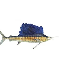 CRB Gamefish Rod Decals