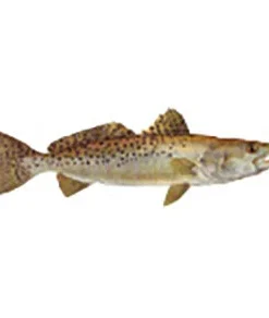 CRB Gamefish Rod Decals