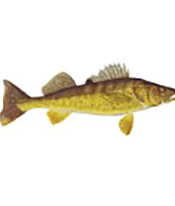 CRB Gamefish Rod Decals