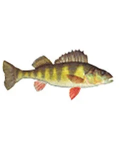 CRB Gamefish Rod Decals