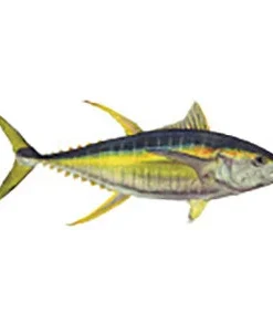 CRB Gamefish Rod Decals